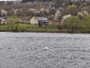 20120407-DSC_0047